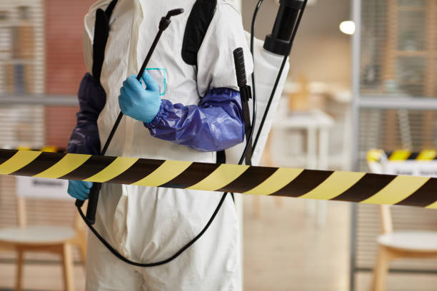 Professional Sewage Cleanup technician working in Sedalia, CO